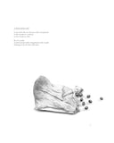 Excerpt from 'A poem about god' - Print