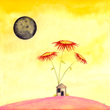 The garden we grew in the night