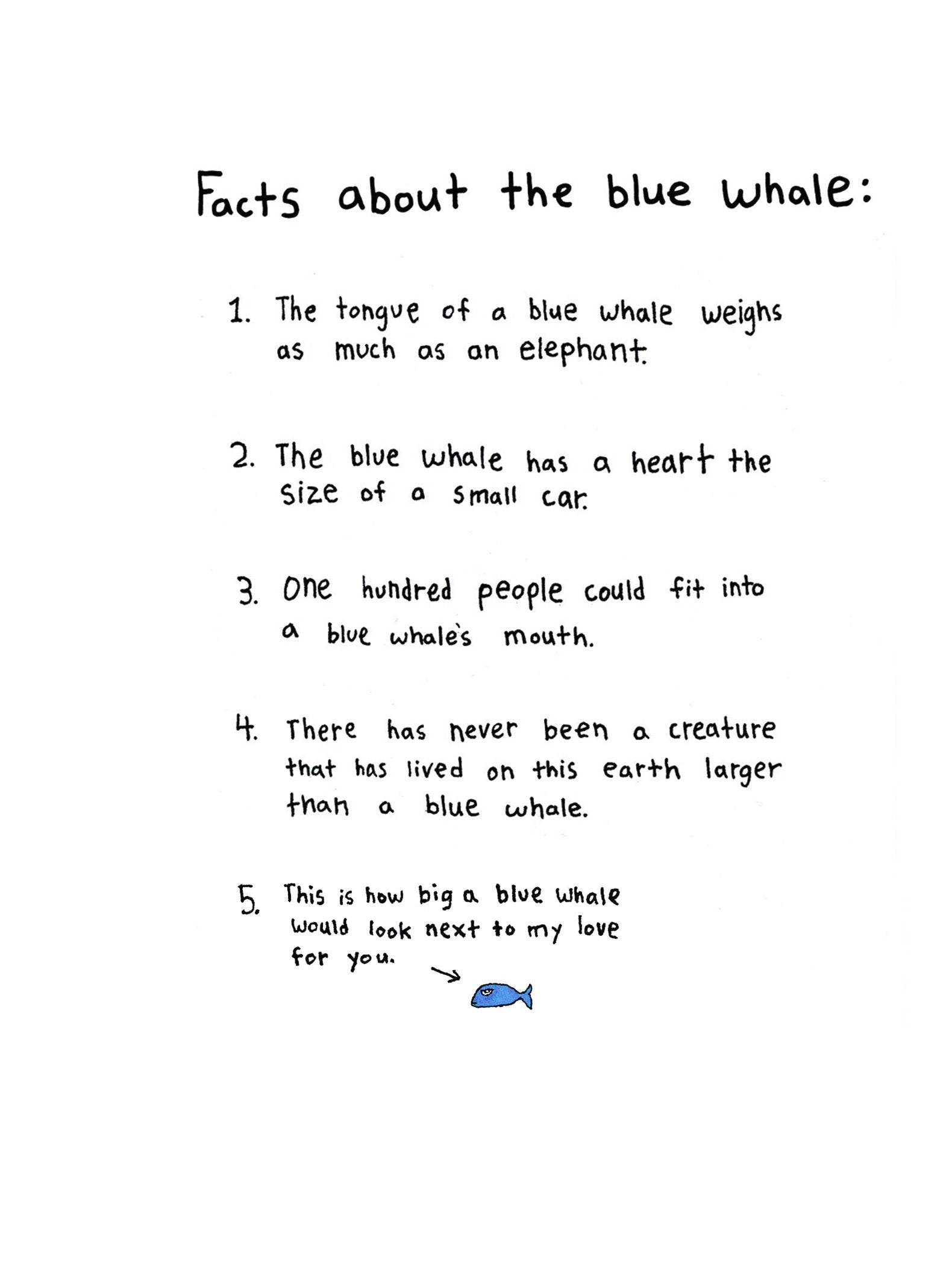 Facts about a blue whale